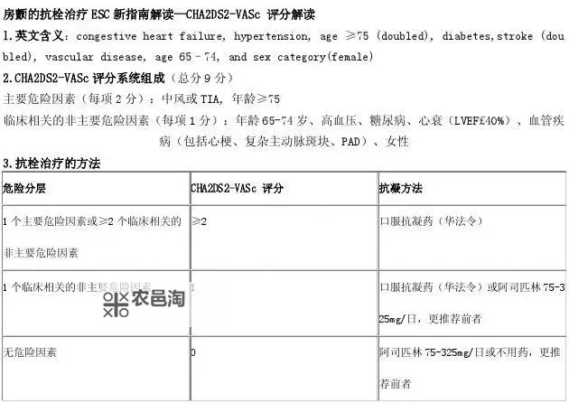 鬼泣5训练评分怎么看：详细指南与评分解析图1