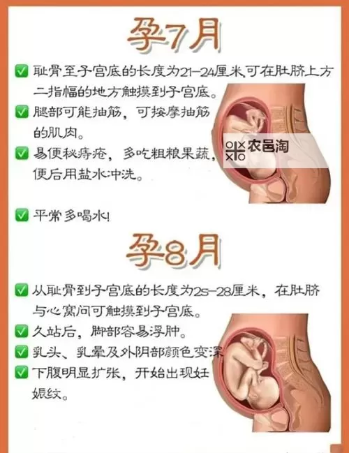 涨精装满肚子怀孕播放器:全面解析怀孕期间的体验与变化图1