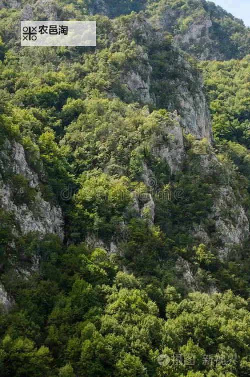 《拳击俱乐部》前中期赚钱及属性技巧介绍图1