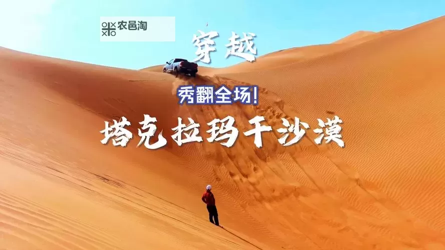 耀眼的大漠钥匙开什么:探索沙漠中的神秘秘密图1