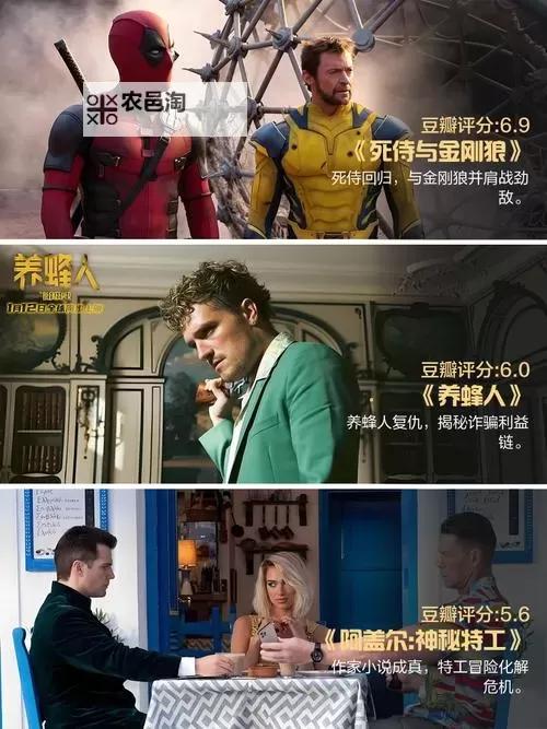 2024年最新欧美电影在线观看推荐与精彩影评图1