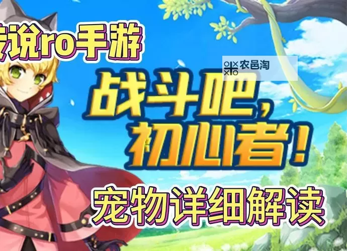 《巴风特之怒》宠物攻略:宠物的获取&养成系统详解!图2