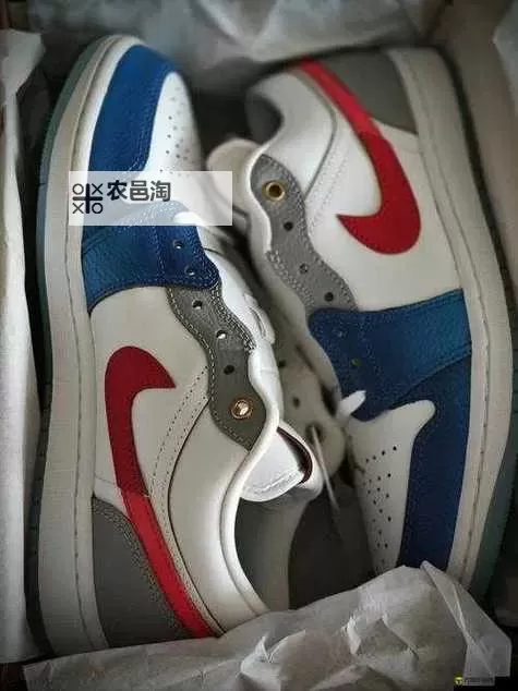 全面详解：做AJ过程大全——从准备到完成的全方位指南图2