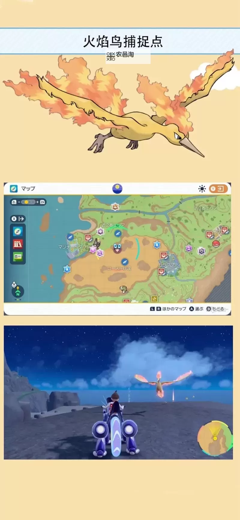 《宝可梦朱紫》峡谷区全NPC位置说明图1