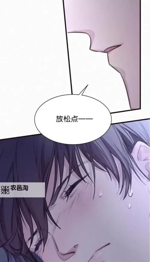 这个校霸有点甜:校园HSC1V1的青涩爱情故事图1