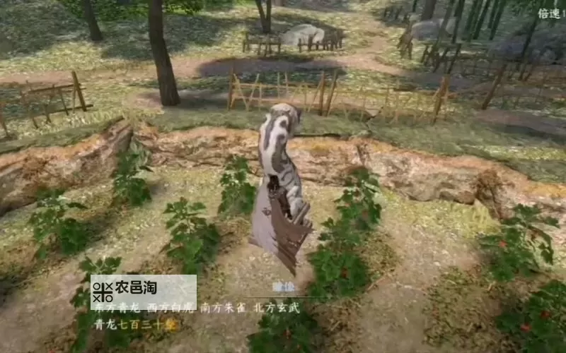 《逆水寒》岁月神偷彩蛋参天古松获取方法 参天古松怎么获得图2