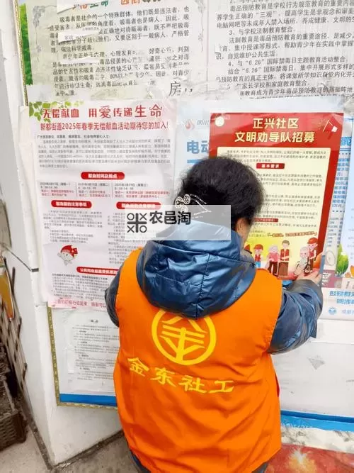 探索「你懂的社区」:一个让你我都能找到归属的交流平台图1