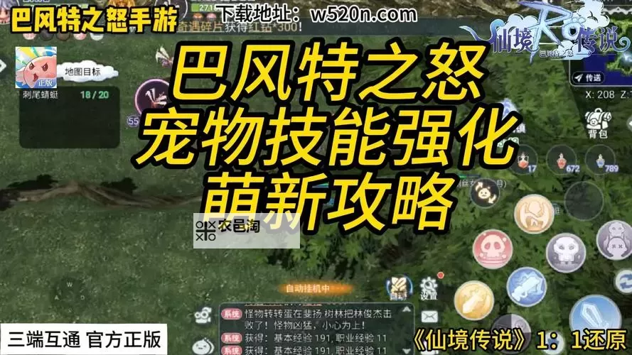 《巴风特之怒》宠物攻略:宠物的获取&养成系统详解!图1