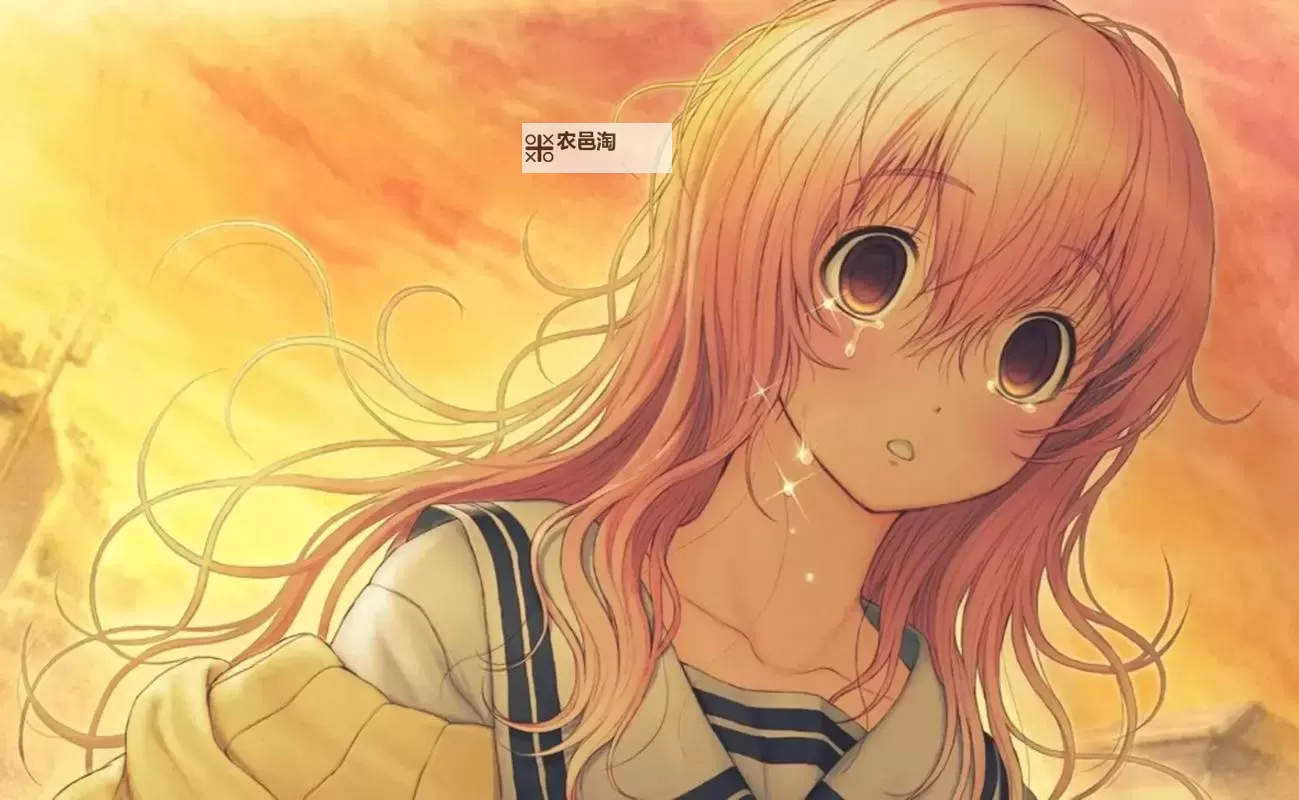 携带彼女电脑版下载 怎么电脑玩携带彼女?图1