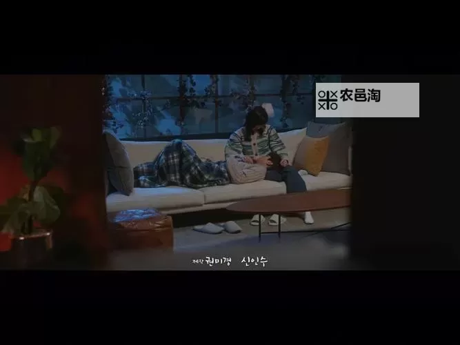 张淑敏和黑色大狗的爱情故事:跨越界限的纯真情深图1