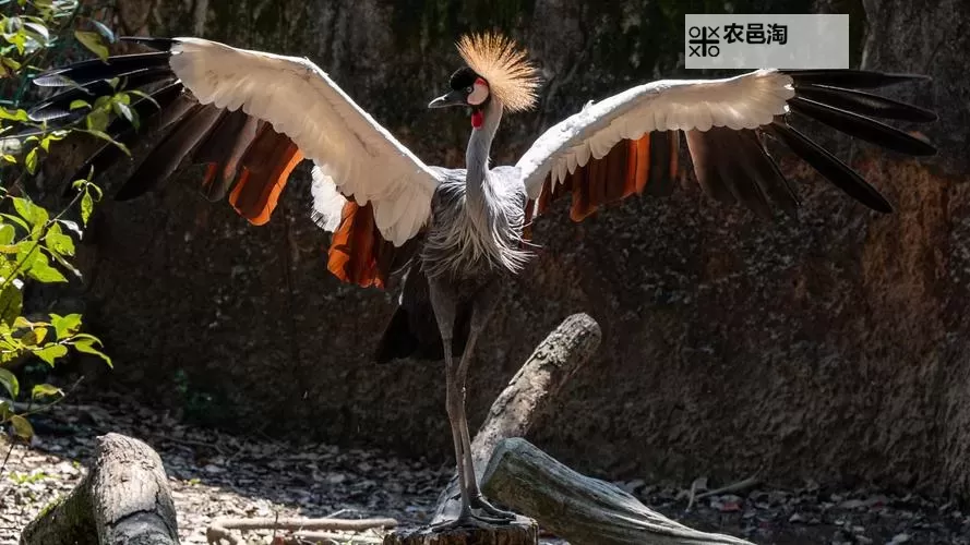 南方公园:真理之杖 外星人部分图文攻略图1