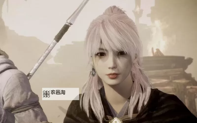 《卧龙苍天陨落》实用流派分享图1