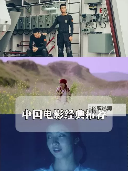 三年中国中文电影免费版：畅享精彩影幕体验图1