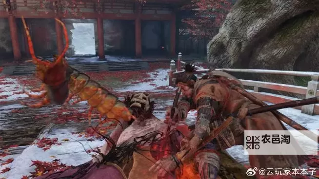 只狼影逝二度在哪买便宜 只狼影逝二度购买平台推荐图1