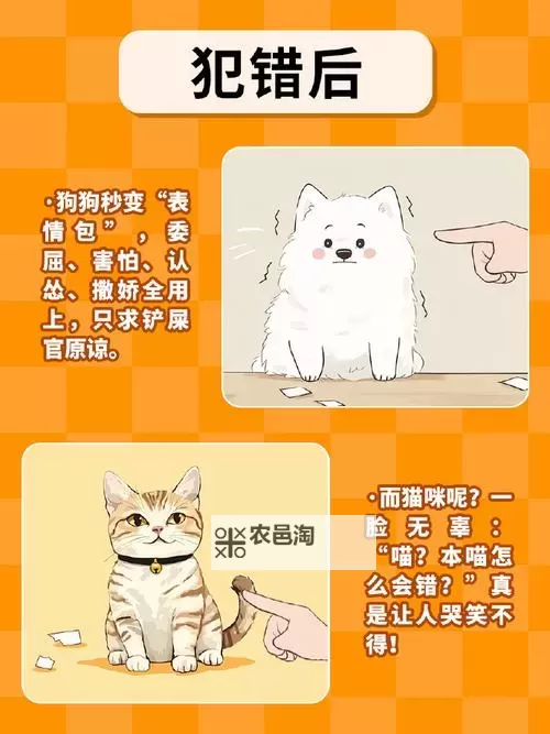 《一击必中》宠物系统详解 一击必中宠物养成攻略图1