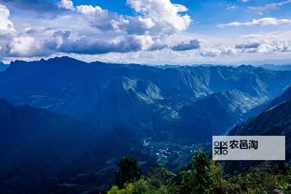 《恐怖黎明》马尔莫斯废墟图文攻略 马尔莫斯废墟全任务及BOSS打法流程攻略图1