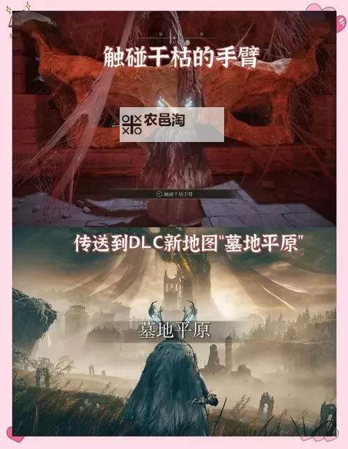 《艾尔登法环》黄金树之影DLC大壶迷宫全攻略图1