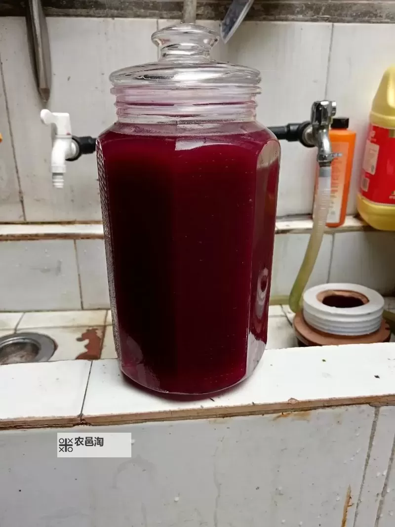 精彩分享:自制葡萄酒视频教程,让你也能轻松酿出美味佳酿图1