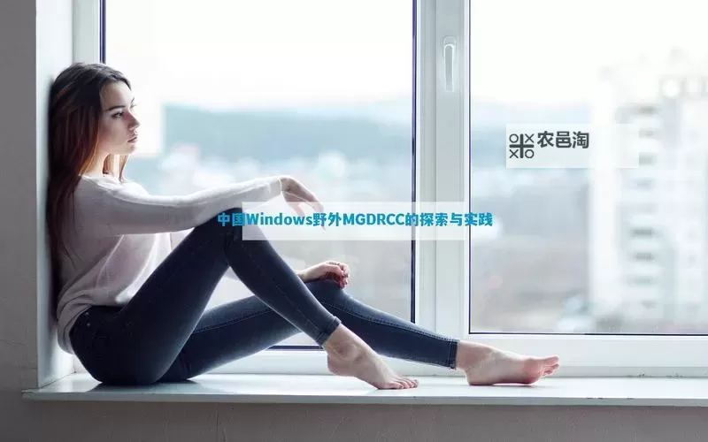 中国高清VPSWINDOWS野外：打造高效稳定的野外办公解决方案图2