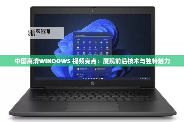 探索中国高清WINDOWS视频亮点:精彩画面与技术革新解析图1
