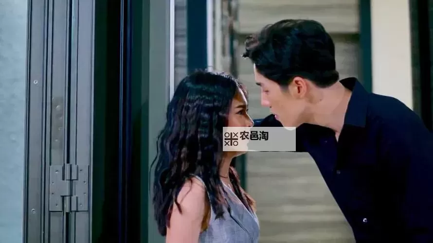 最新发布!免费在线观看中文2019完整版高清视频资源图1