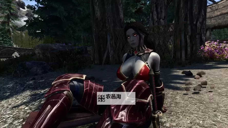 《上古卷轴5》提高画质方法详解 上古卷轴5怎样提高画质图1