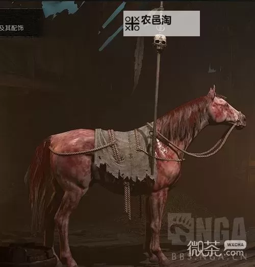 《暗黑破坏神4》PVP幻化与战马配件展示图1