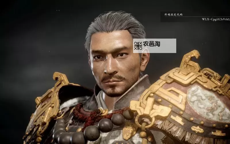 《卧龙苍天陨落》可盐可甜高颜值萌妹捏脸数据图1