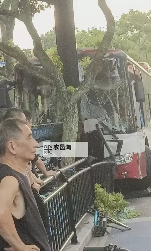 在公交车上被撞得一前一后:意外中的惊魂瞬间图2