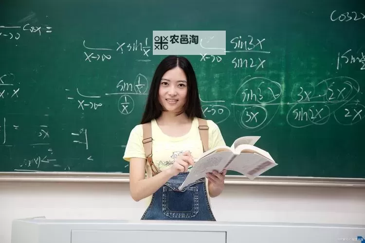 在班里插了语文课代表:责任与担当的新时代青春篇章图1