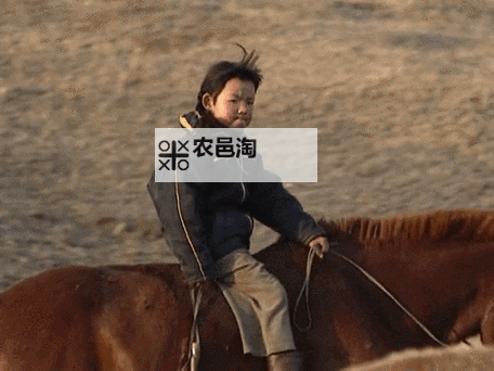 坐在有木棒的马鞍上难受:骑行中的不适体验探析图1