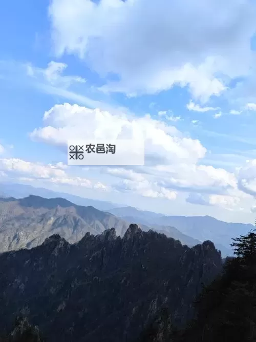 如何轻松获取67194免费无码资源，正版无忧体验指南图1