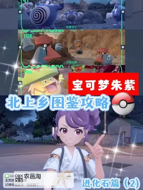 《宝可梦朱紫》最强铁包袱圣诞活动介绍图1