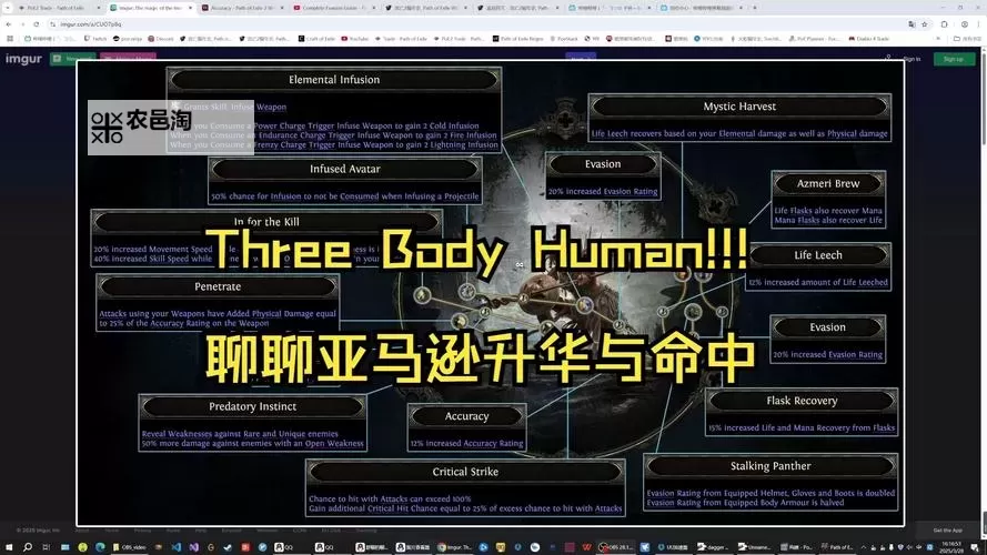 《流放之路2》亚马逊异界电矛搭配分享 亚马逊剧情过渡思路讲解图1