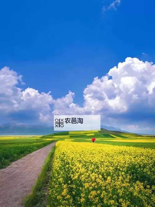 揭秘中国黑社会老大名单:背后隐藏的权力与阴影图1