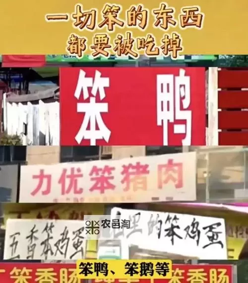 在东北,一切笨的东西都会被吃掉:荒野中的生存智慧图1