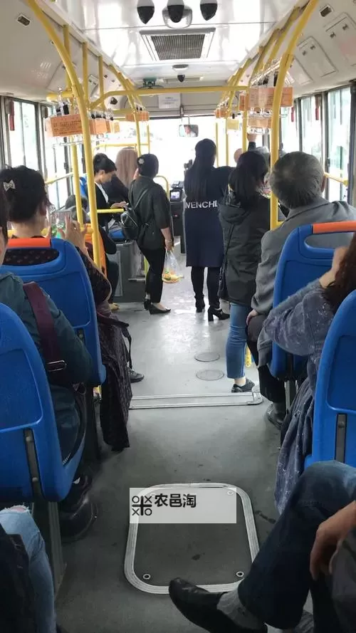 坐公交车最后一排轻一点:让旅途更舒适的乘车小技巧图1