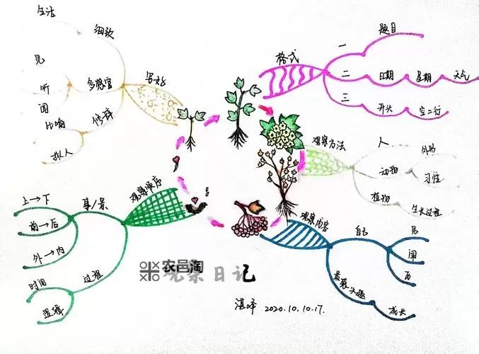 《观察者》设定、操作及全任务流程图文攻略图2