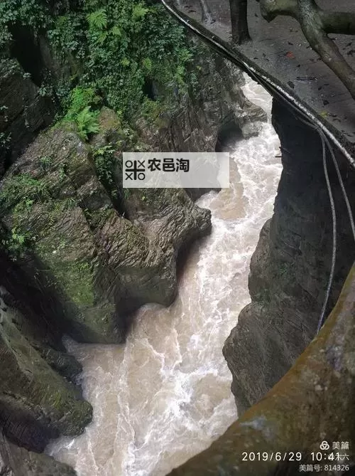 《探索岳的肥洞越紧越深的神秘秘密》图1