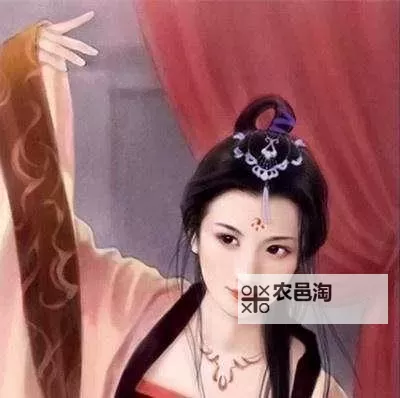 岳女二人名器共侍一夫的寓意:忠贞与携手共度难关的象征图1