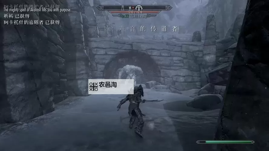 《上古卷轴5重制版》SSEEdit显示中文方法 SSEEdit怎么显示中文图2