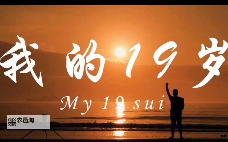 《盘点最好看的2019中文字幕电影合集推荐》图1