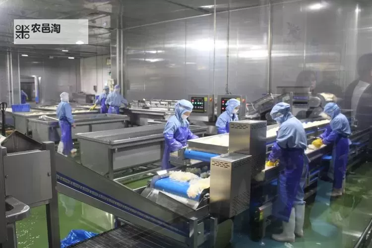 探索创新美味:9i果冻制作厂的独家工艺揭秘图1