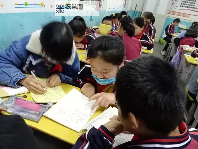 语文课代表的水真多:课堂上的趣事与尴尬瞬间图1