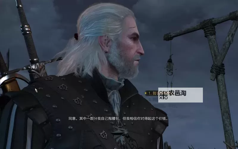 《巫师3》圣火下的阴影完美结局攻略 圣火下的阴影怎么达成完美结局图1