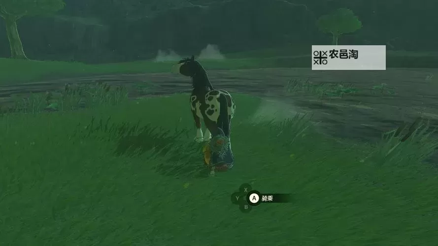 《塞尔达传说王国之泪》马匹捕捉方法 怎么抓马图1