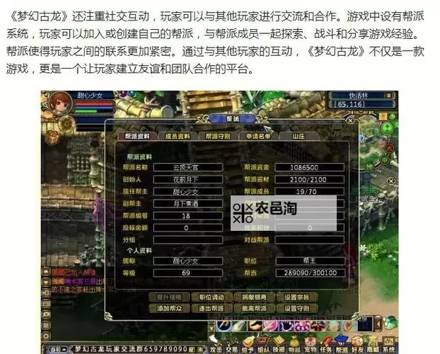 新梦幻古龙电脑版下载 新梦幻古龙电脑版的安装使用方法图2