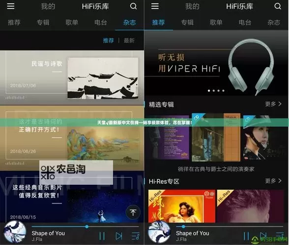 探索最好看的中文视频:最好的中文内容推荐指南图1