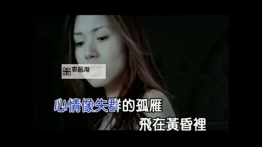 震撼心灵的瞬间:最感人的MV精选合集图1