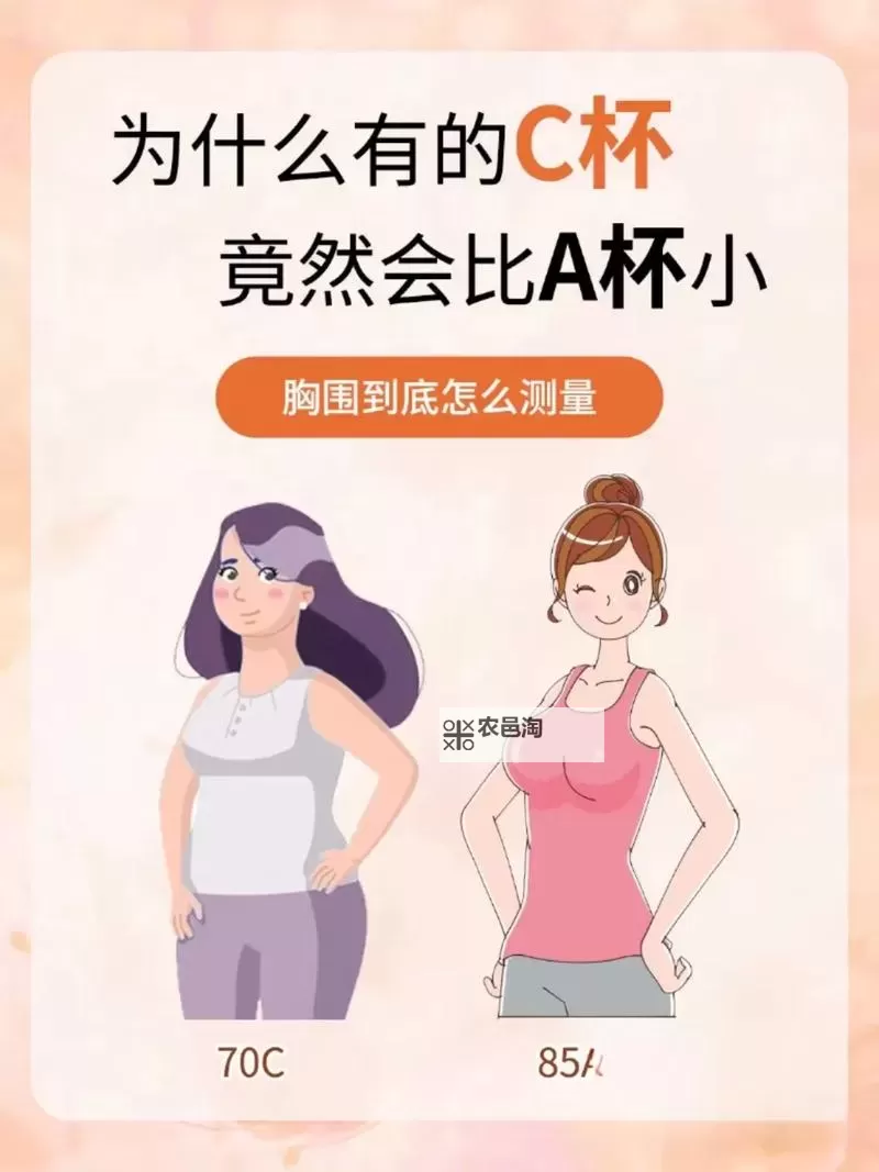 越来越欠C了小东西:那些让人欲罢不能的小物件图1